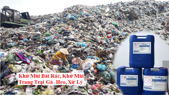 Khử mùi sinh học cho khu vực chế biến